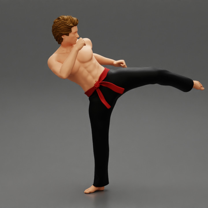 Karate man in a red belt image