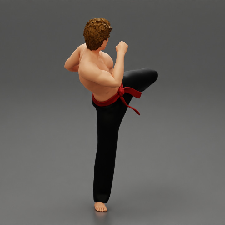 Karate man in a red belt image