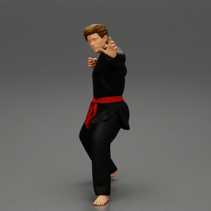 Karate man in a black kimono with a red belt image