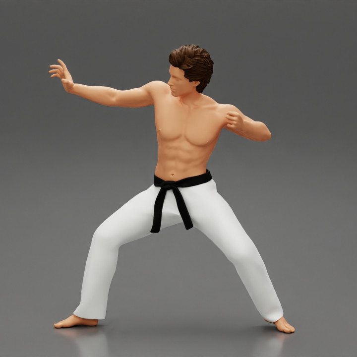 Karate man in a black belt image