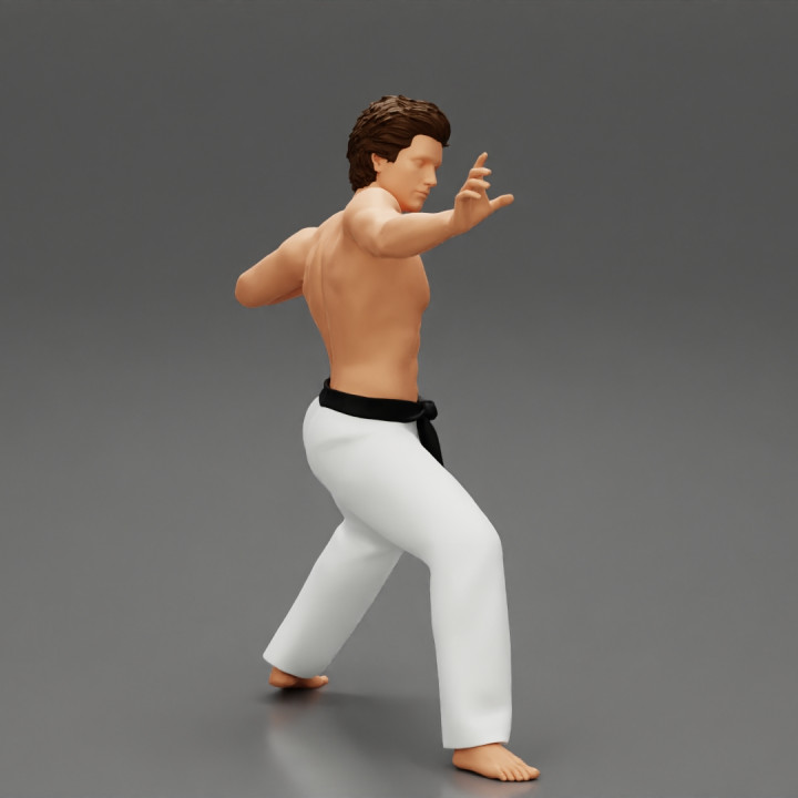 Karate man in a black belt image