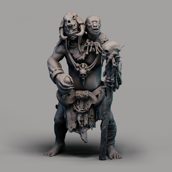 Ettin Shaman image