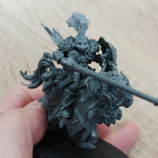 Picture of print of Knights of Morr base Heads