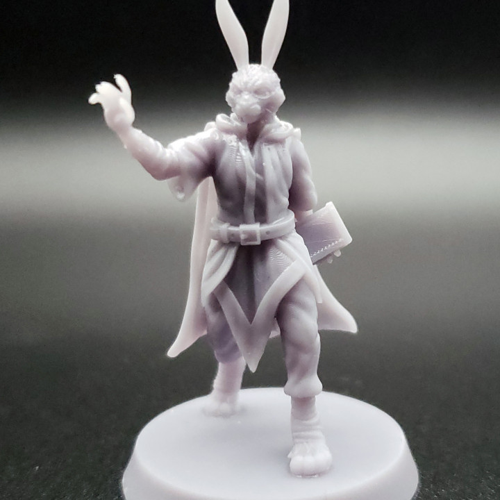 Rabbitfolk Wizard