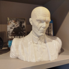 Skull Face Bust (Metal Gear Solid 5)