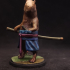 Samurai capibara print image