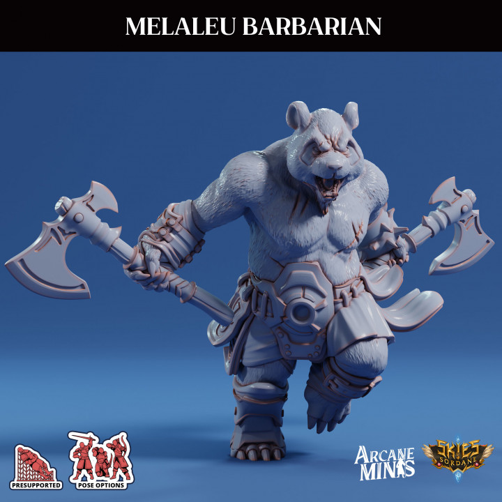 Melaleu Barbarian image