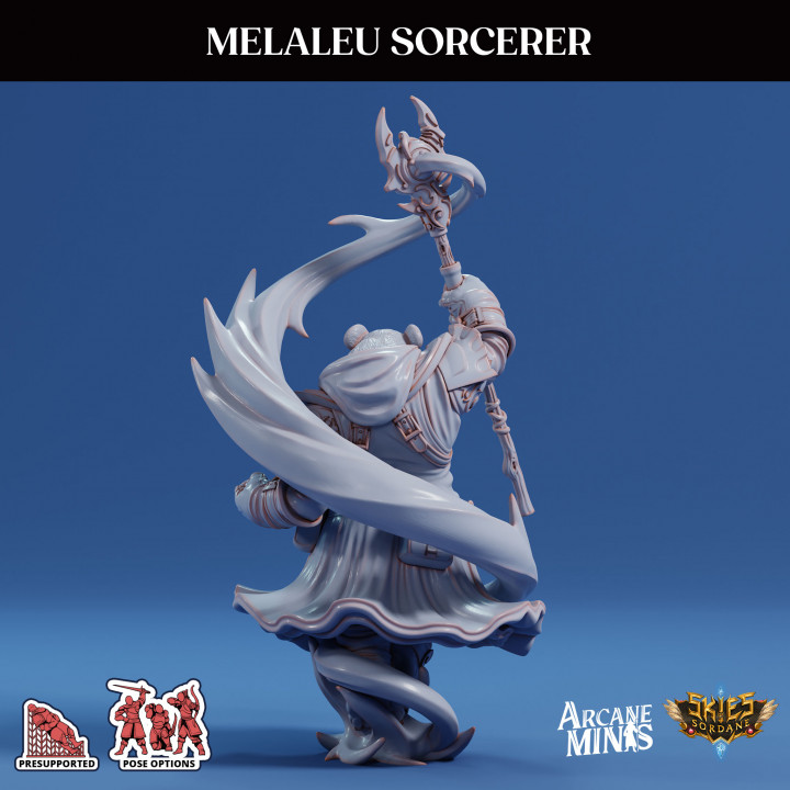 Melaleu Sorcerer image