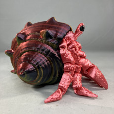 Picture of print of Articulated Hermes, the Hermit Crab