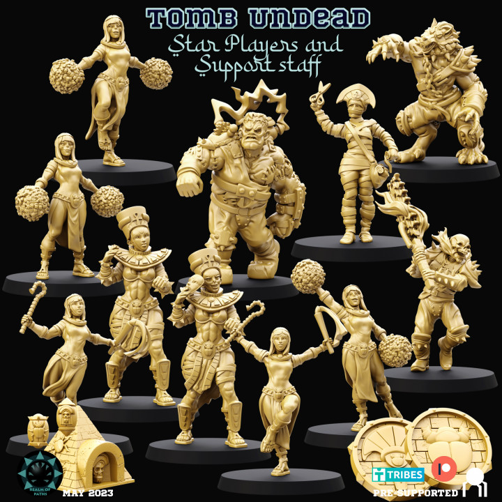 Star Players and support staff - Tomb Undead - Fantasy Football image