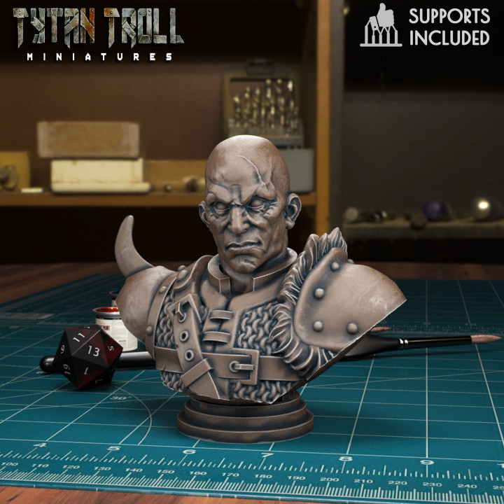 Curse Of Strahd Bust-Pack 02 [Pre-Supported] image