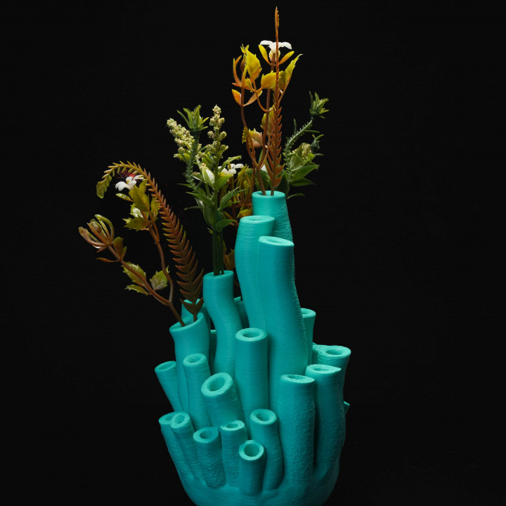 Coral Vases - S, M, L