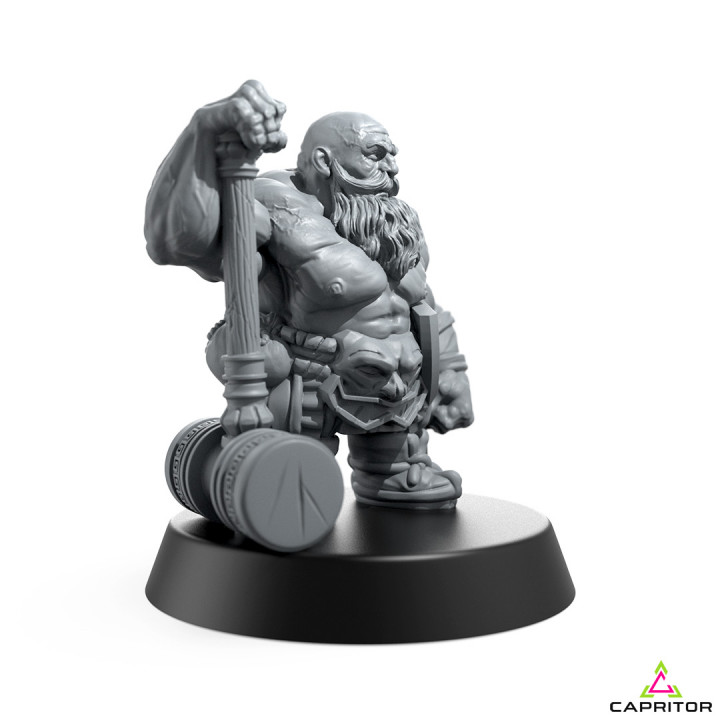 Dwarf Champion 28mm Scale