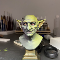 Picture of print of Intelligent goblin bust