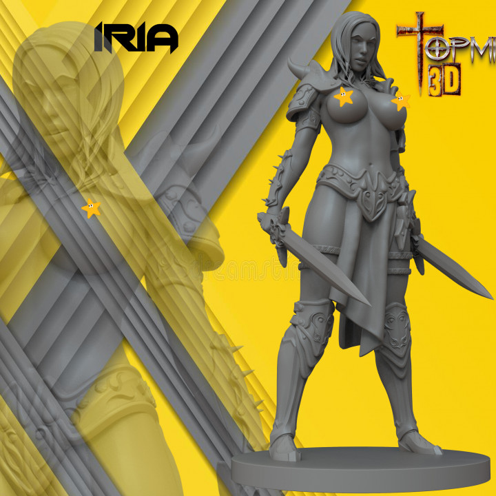 NUDE WARRIOR FOR TABLETOP RPG GAMES image