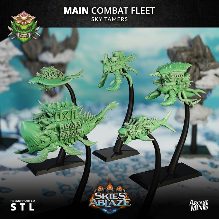 Sky Tamers Main Combat Fleet image