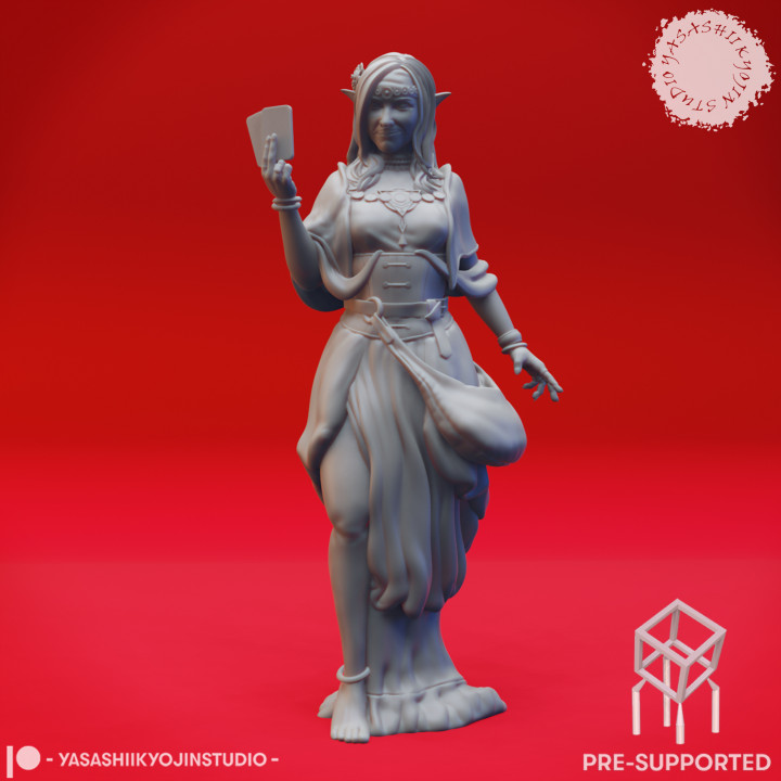 Vadoma - Fortune Teller Pair - Tabletop Miniatures (Pre-Supported) image