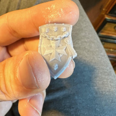 Picture of print of TEMPLAR SHIELD