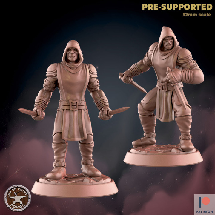 Rogue Two Models image