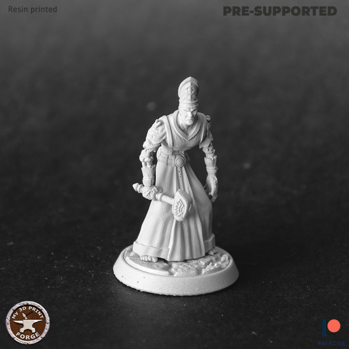 Undead Inquisitor Two Models image