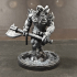 Beastkin Juggernauts Warband print image