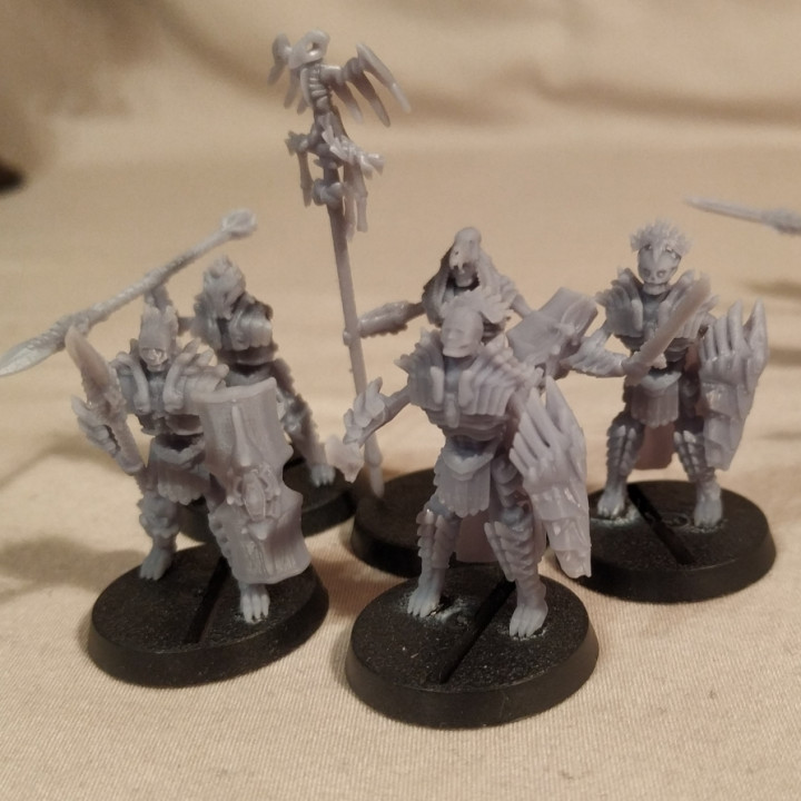 3D Printable legionPhalanx by ddd_martin_miniatures