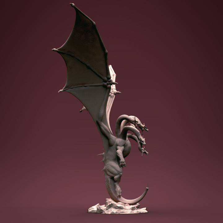 Draco hydra image