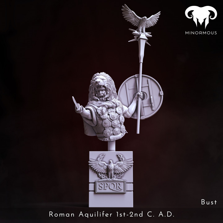 Bundle - Roman Aquilifer 1st-2nd C. A.D. The Protector! image