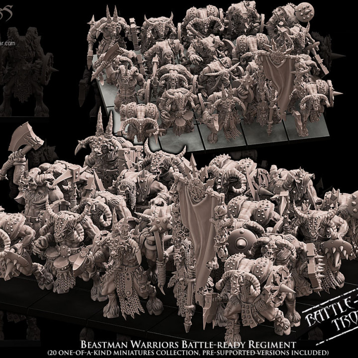 Beastman Warriors Battle-Ready regiment (20 Beastmen) image