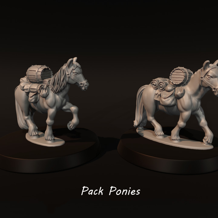 Pack Ponies image