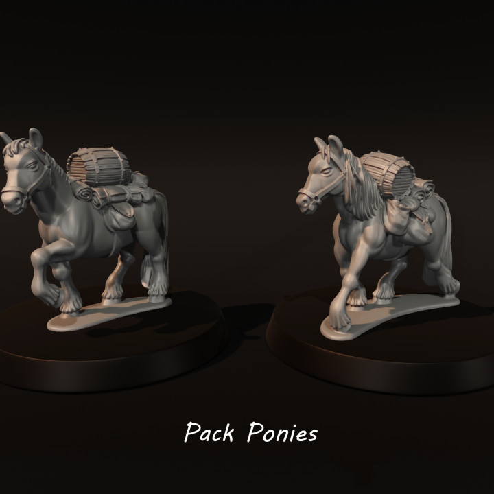 Pack Ponies image
