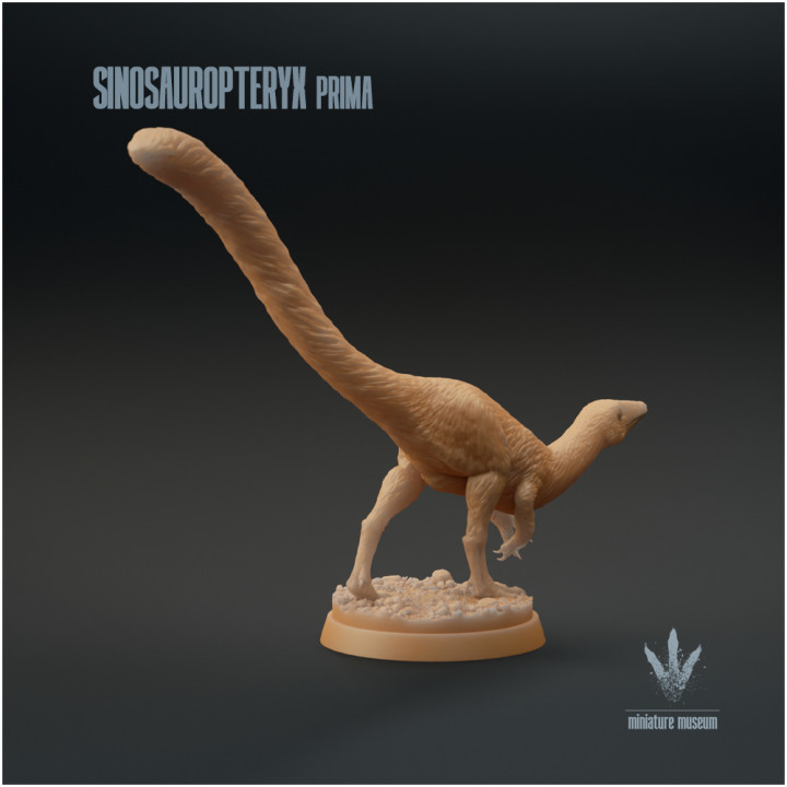 Sinosauropteryx prima : The Feathered Theropod image