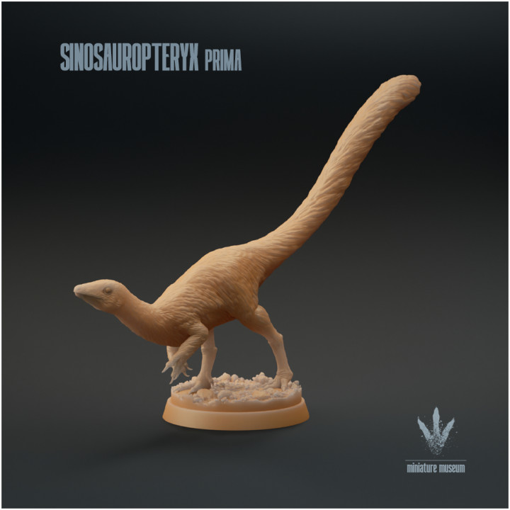 Sinosauropteryx prima : The Feathered Theropod image
