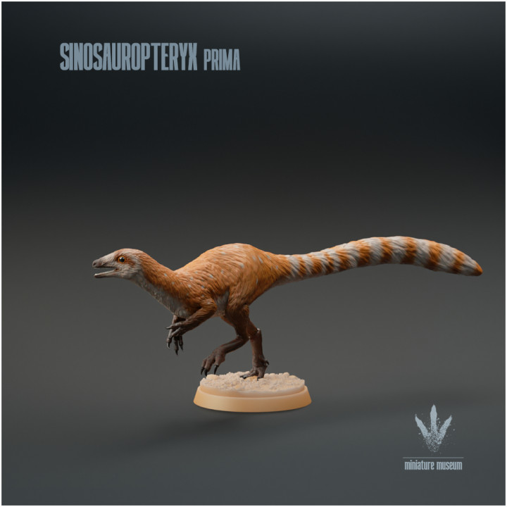 Sinosauropteryx prima : Running image
