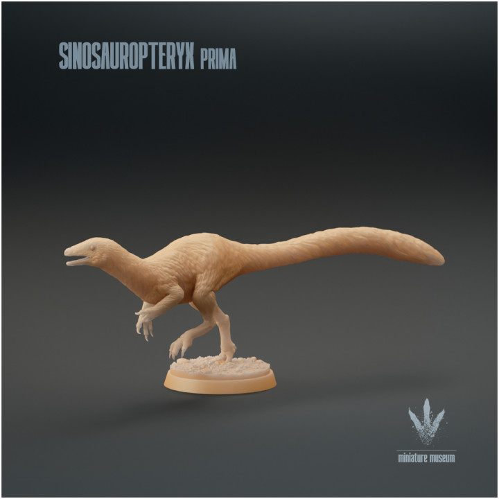 Sinosauropteryx prima : Running image