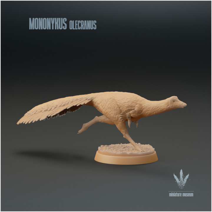 Mononykus olecranus : Running