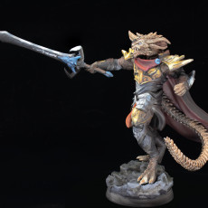 Picture of print of Lord Rhogar of Blue Lightning - Dragonborn Paladin