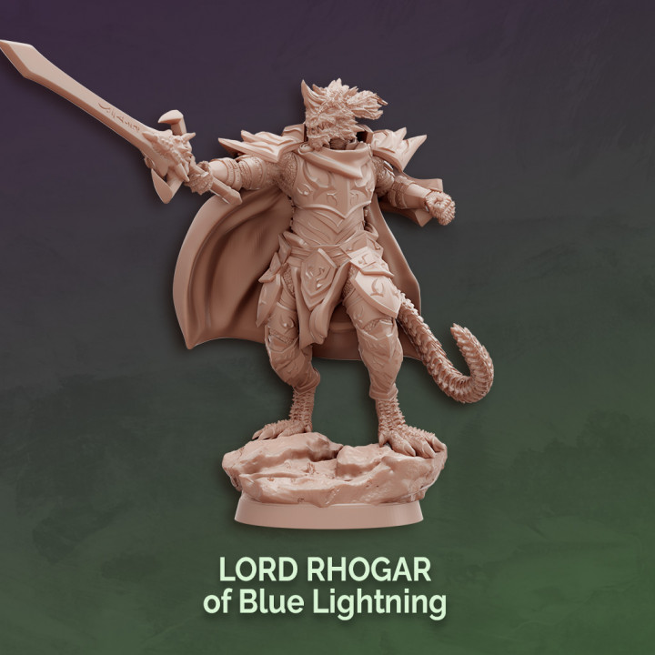 Lord Rhogar of Blue Lightning - Dragonborn Paladin image