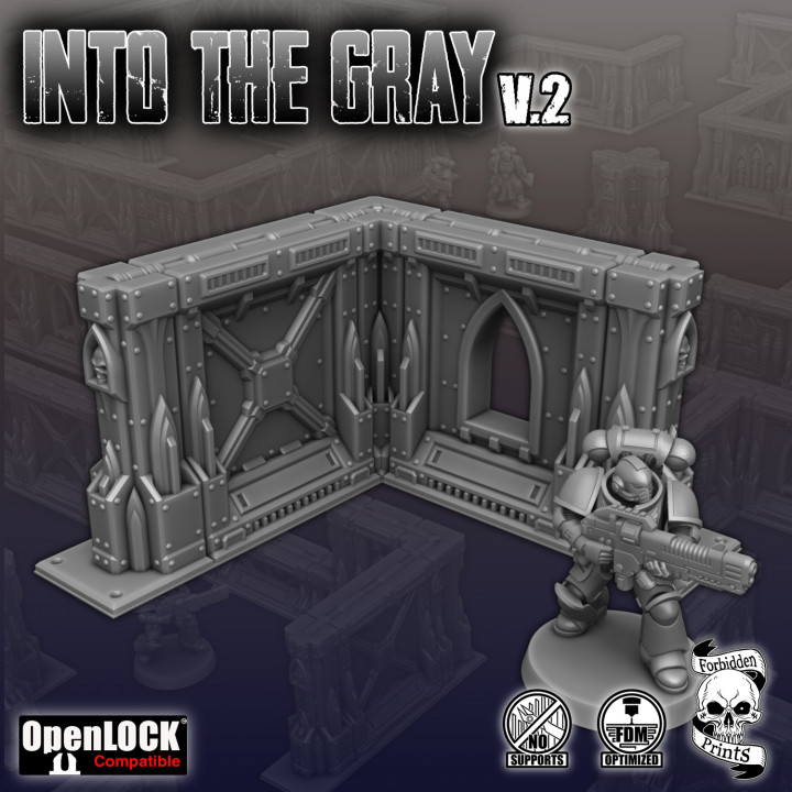 Into The Gray V.2 image