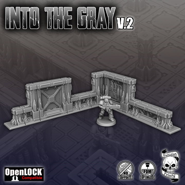 Into The Gray V.2 image