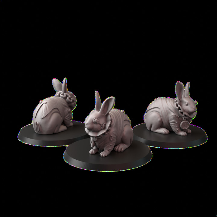 Steam pet 2