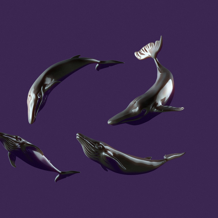 four whales in different positions. toy