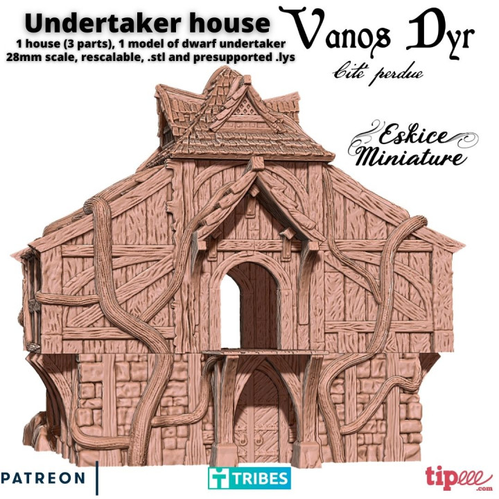 Undertaker house of Vanos Dyr - 28mm