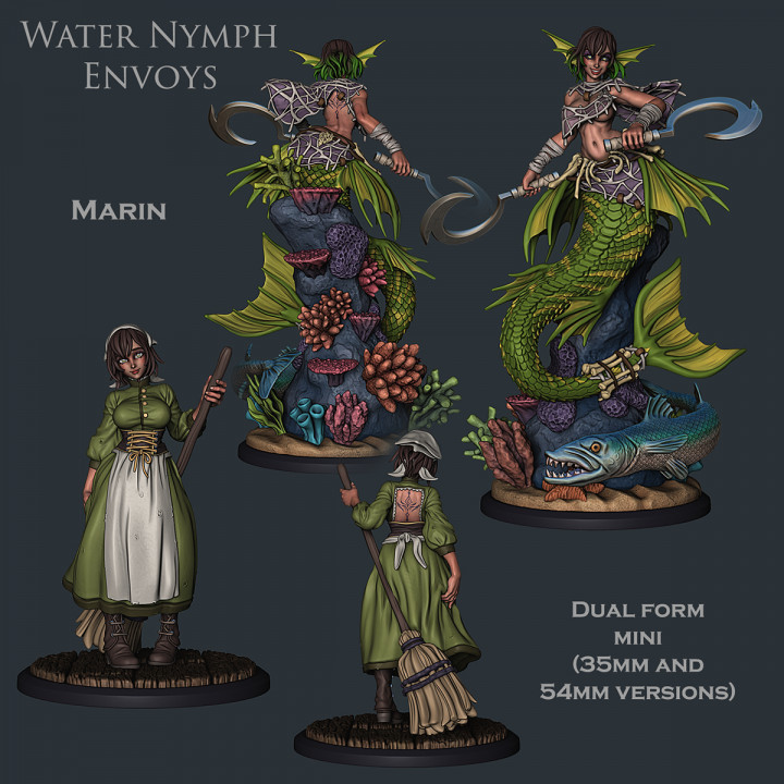 Water Nymph Envoys (NSFW) Mermaid Set image