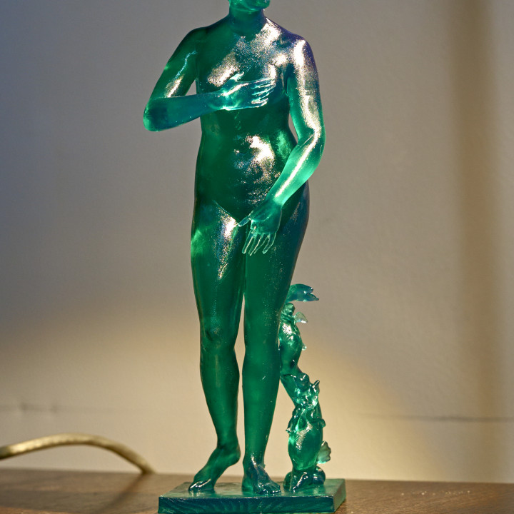 Bronze copy of the Medici Venus image