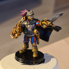 Picture of print of Empire Captain