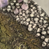 LegendGames 160mm round Skull and Cracked Mud bases print image