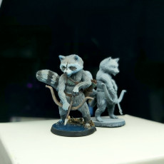 Picture of print of Racoon Archer