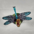 Dragonfly Express print image