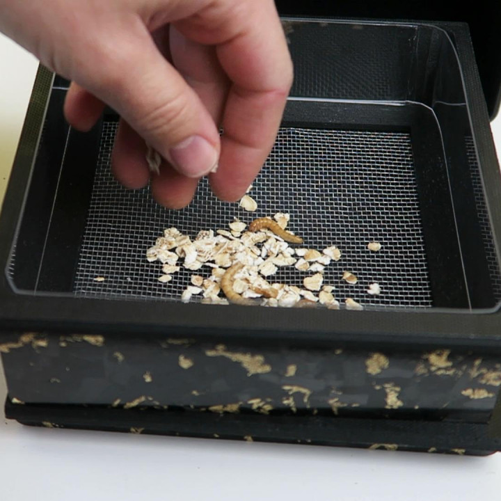 3D Printable Desktop Mealworm Farm (SelfSorting) by Lindy Design Lab